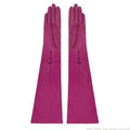 Prose Fuchsia